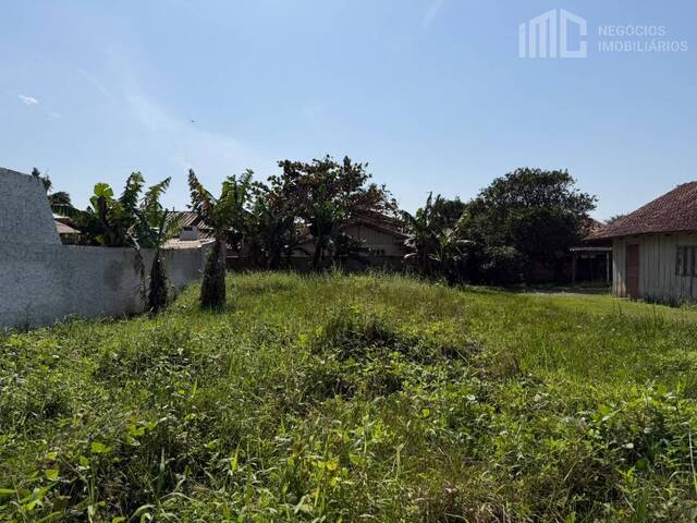 #2483 - Terreno para Venda em Balneário Barra do Sul - SC - 3