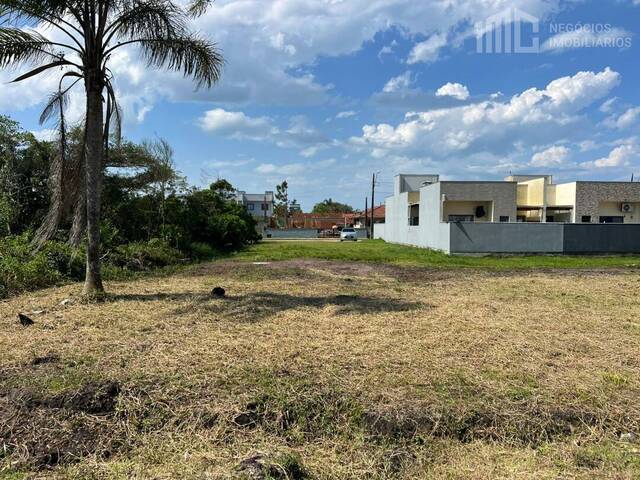 Terreno para Venda em Balneário Barra do Sul - 4