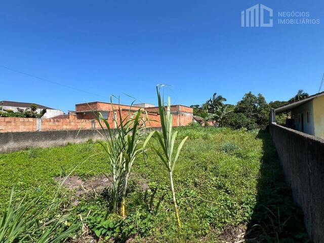 Terreno para Venda em Balneário Barra do Sul - 2